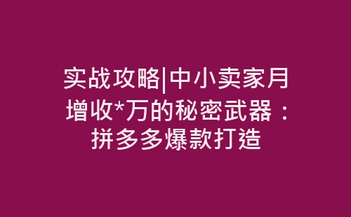 实战攻略|中小卖家月增收*万的秘密武器：拼多多爆款打造-网赚项目