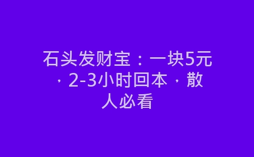 石头发财宝：一块5元，2-3小时回本，散人必看-网赚项目