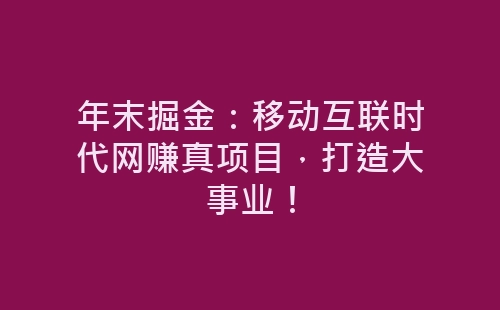 年末掘金：移动互联时代网赚真项目，打造大事业！-网赚项目