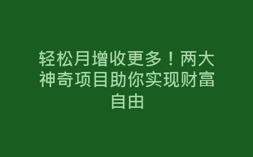 轻松月增收更多！两大神奇项目助你实现财富自由-网赚项目