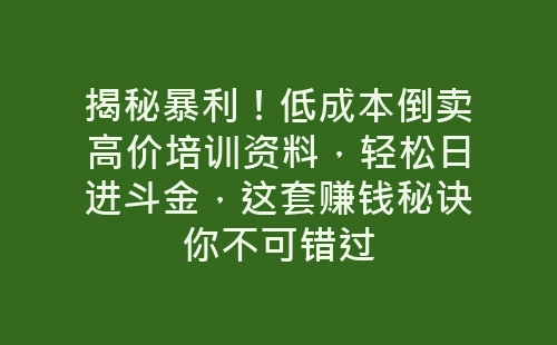 揭秘暴利！低成本倒卖高价培训资料，轻松日进斗金，这套赚钱秘诀你不可错过-网赚项目