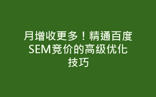 月增收更多！精通百度SEM竞价的高级优化技巧-网赚项目