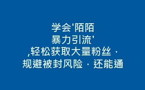 学会'陌陌暴力引流',轻松获取大量粉丝，规避被封风险，还能通更多项目实现丰厚收益！-网赚项目