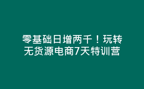 零基础日增两千！玩转无货源电商7天特训营-网赚项目