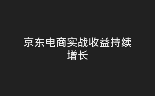 京东电商实战收益持续增长-网赚项目