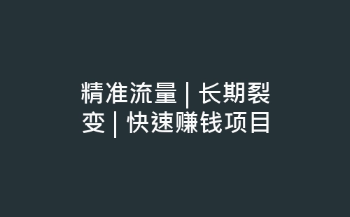 精准流量 | 长期裂变 | 快速赚钱项目-网赚项目