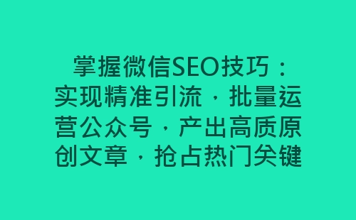 掌握微信SEO技巧：实现精准引流，批量运营公众号，产出高质原创文章，抢占热门关键词-网赚项目