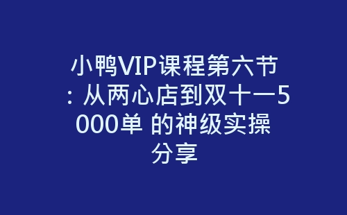 小鸭VIP课程第六节：从两心店到双十一5000单 的神级实操分享-网赚项目