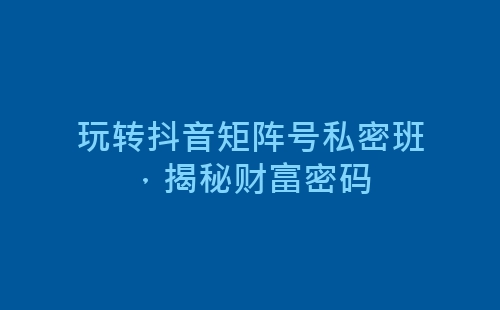 玩转抖音矩阵号私密班，揭秘财富密码-网赚项目