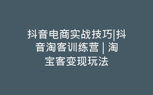 抖音电商实战技巧|抖音淘客训练营 | 淘宝客变现玩法-网赚项目