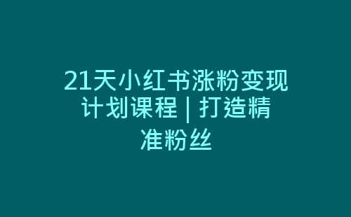 21天小红书涨粉变现计划课程 | 打造精准粉丝-网赚项目