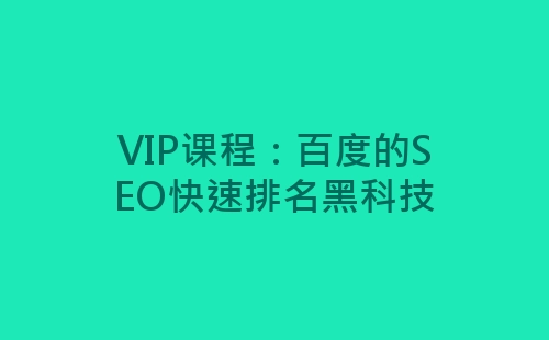 VIP课程：百度的SEO快速排名黑科技-网赚项目