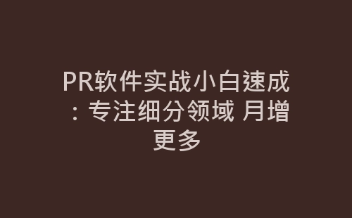 PR软件实战小白速成：专注细分领域 月增更多-网赚项目