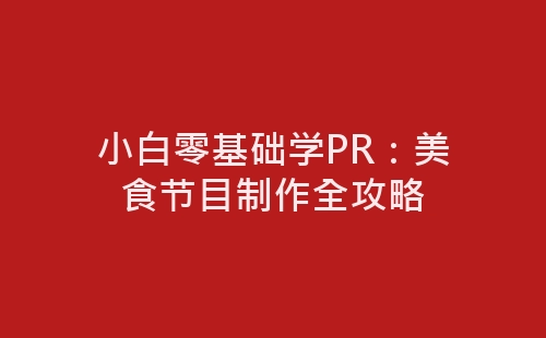 小白零基础学PR：美食节目制作全攻略-网赚项目