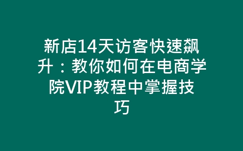 新店14天访客快速飙升：教你如何在电商学院VIP教程中掌握技巧-网赚项目