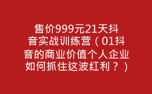 售价999元21天抖音实战训练营（01抖音的商业价值个人企业如何抓住这波红利？）-网赚项目