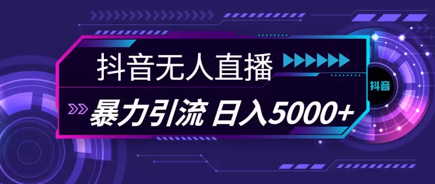 抖音无人的直播引流技巧：打造高效创业粉方案-网赚项目