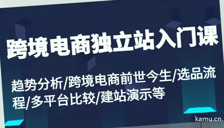 跨境电商独立站入门课：趋势分析、建站技巧和选品流程详解-网赚项目