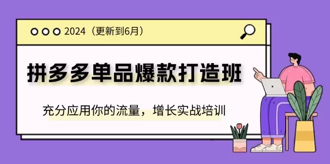 拼多多单品爆款打造指南：实战培训助你流量翻倍-网赚项目