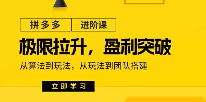 拼多多进阶技巧分享：算法优化与团队建设全攻略-网赚项目