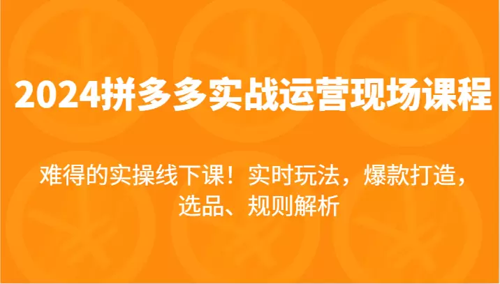 拼多多实战运营技巧：爆款打造与选品策略-网赚项目