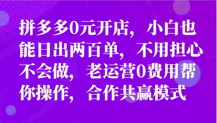 拼多多小白开店攻略：无风险代运营，轻松实现销量破百-网赚项目