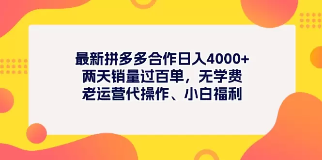 拼多多新手运营指南：快速增单技巧与无风险合作-网赚项目