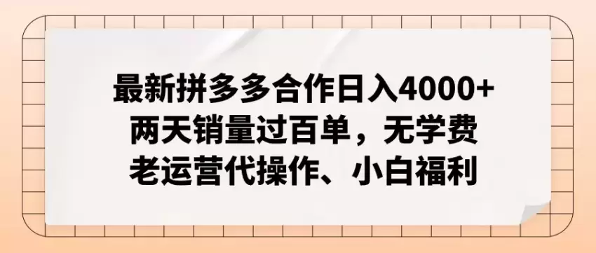 拼多多运营技巧：从零开始轻松实现百单销量-网赚项目