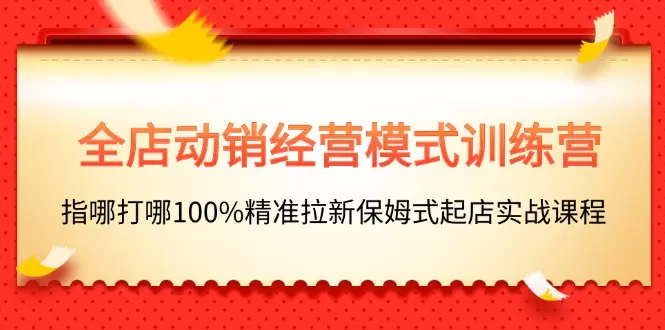 全店动销经营模式揭秘：精准拉新与实战技巧分享-网赚项目