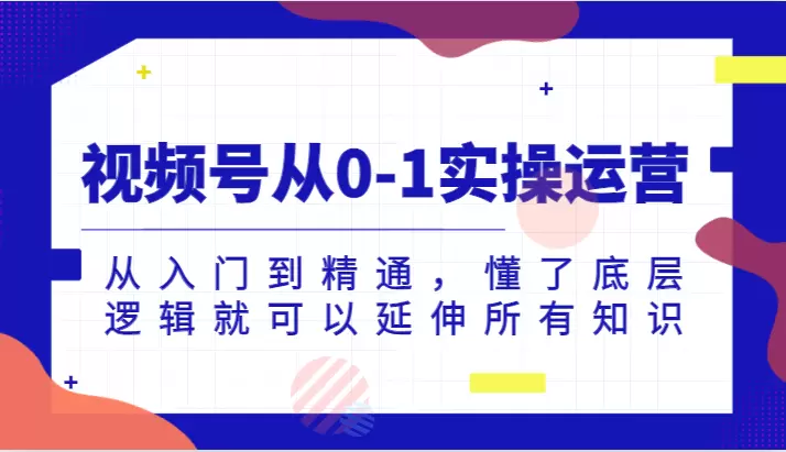 如何从0到1运营视频号：掌握底层逻辑，实现直播带货成功-网赚项目