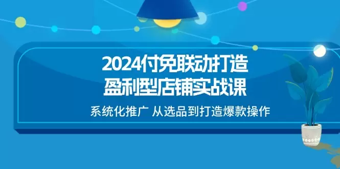 如何打造盈利型店铺：从选品到爆款的系统化推广策略-网赚项目