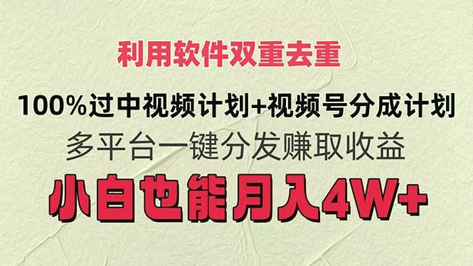 如何利用软件双重去重，实现视频平台月入多增-网赚项目