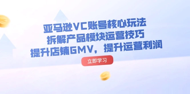 如何提升亚马逊VC账号运营效益：核心玩法与模块拆解-网赚项目