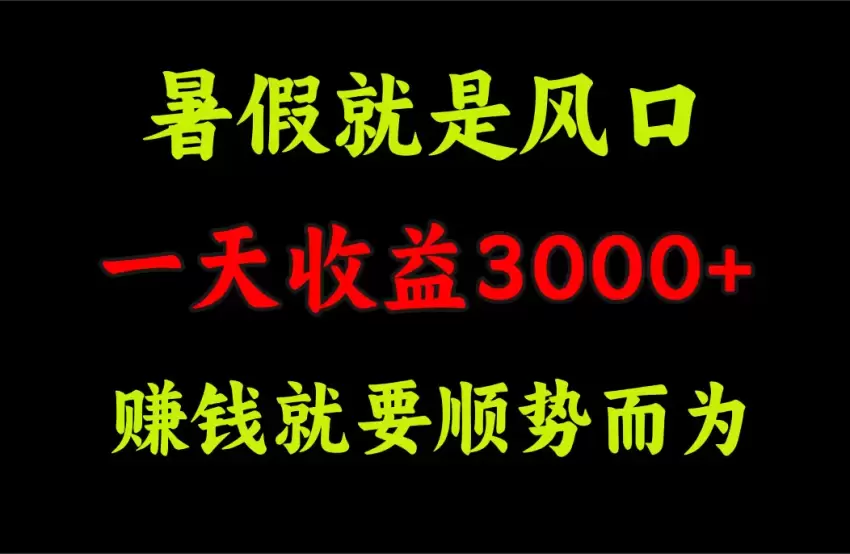 暑假赚钱新机会，抓住风口轻松上手-网赚项目