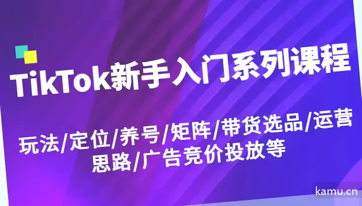 TikTok新手入门系列视频课程：玩法、定位、养号、矩阵、带货选品、运营思路、广告竞价投放详解-网赚项目