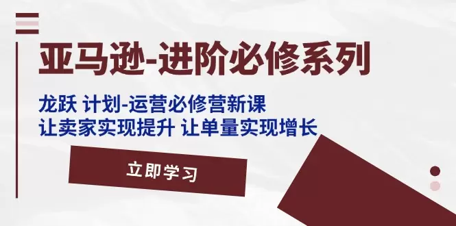 亚马逊进阶指南：运营优化与高效广告策略深度解析-网赚项目