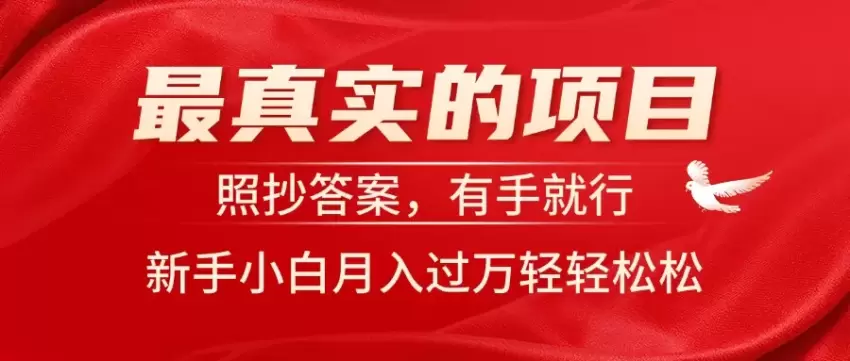 最实用的新手电商项目指南，轻松实现高效盈利-网赚项目