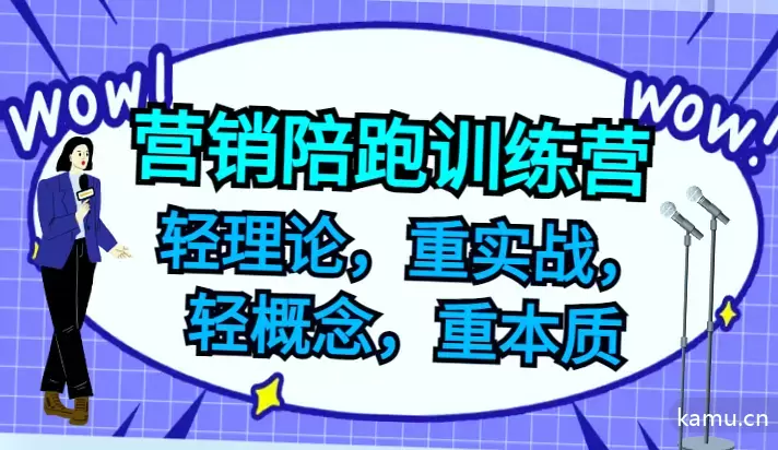 100个微信私域运营技巧，快速提升你的个人IP和收益-网赚项目