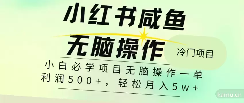 2024年最新赚钱项目揭秘：每单利润500 ，纯手机操作轻松上手！-网赚项目