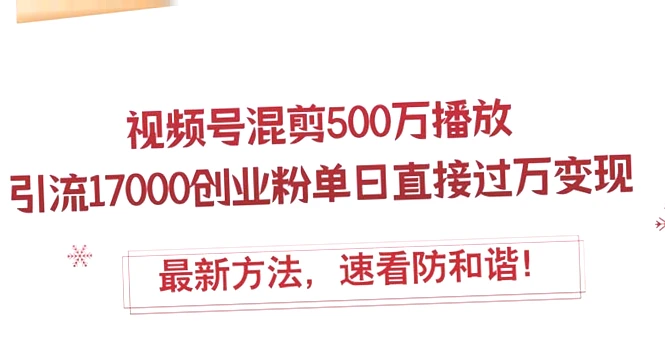 创业实战：精选多平台引流技巧，短视频快速打造*万粉丝，实现日营收*元！-网赚项目