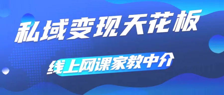 打造私域变现新模式：网课家教中介全解析，实现高额利润与优质资源共享-网赚项目