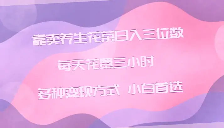 低成本高回报！3小时掌握的小红书养生花茶冷门项目，轻松月入更多-网赚项目