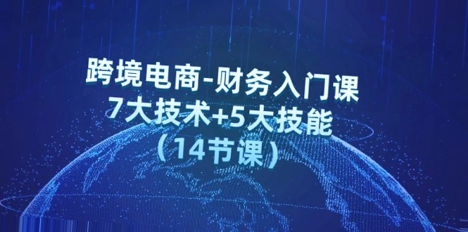 跨境电商财务入门课程：掌握七大技术与五大技能，轻松应对财务挑战！-网赚项目