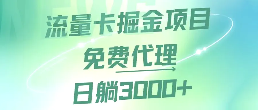 流量卡掘金代理，轻松日收入*元，上手简单，四种运营方式，详细解析-网赚项目