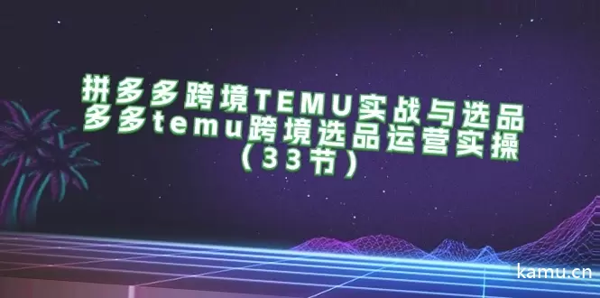 拼多多跨境TEMU选品实战指南，从零基础到精通全套操作技巧！-网赚项目