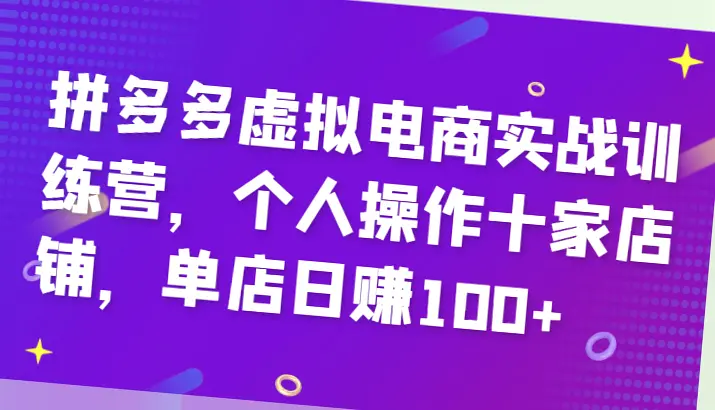 拼多多虚拟电商实战：5个月开设12家盈利店铺，日均收益*元！详解高效运营技巧-网赚项目