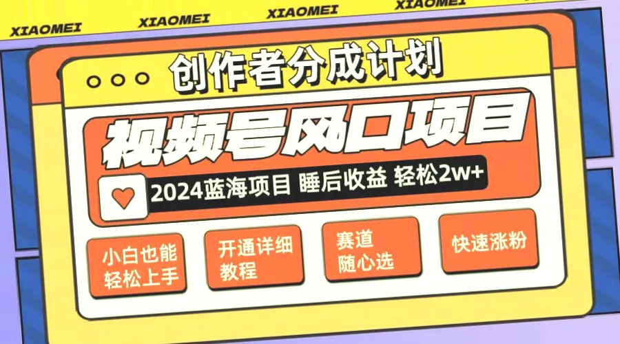 轻松入门！微信视频号风口项目月入更多，多样赛道任你选，简单操作无难度-网赚项目