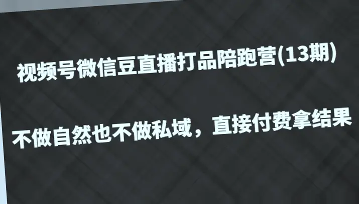 13期视频号微信豆直播打品陪跑教程：从零打造高效团队与优质场景-网赚项目