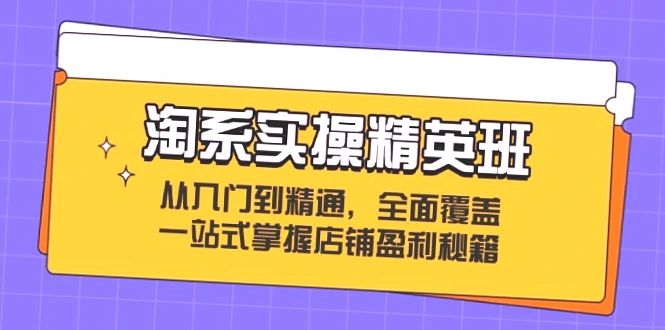 全方位掌握淘系电商实战技巧：从入门到精通！专家指导，助你破解运营难题，提高销售额！-网赚项目