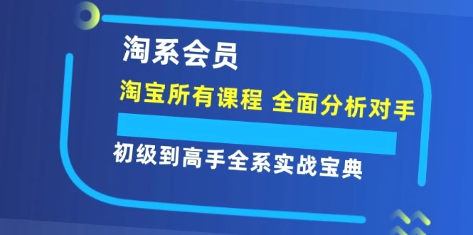 全面掌握淘系玩法：从入门到精通！小众市场精准出击、数据驱动决策、打造差异化产品、爆款全流程指南等实用技巧与实践方法。-网赚项目